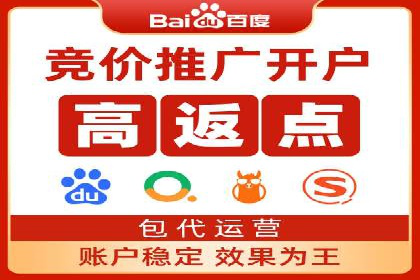 搜索开户返点揭秘：成功案例分享